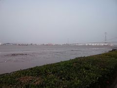 -海鸥岛