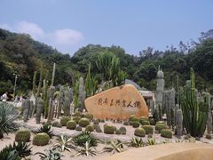-深圳仙湖植物园