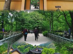 -五泄景区
