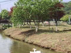 -佛手湖郊野公园
