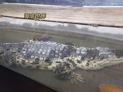 -南京海底世界