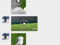 -北京京卫宠物寄养训练中心