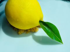 -翡翠36餐厅(浦东香格里拉店)