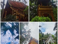 -西双版纳傣族园