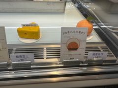 -TD66高山铁皮石斛养生茶饮