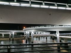 -演武大桥观景平台