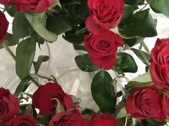 -Gigi Florist·Dk Coffee