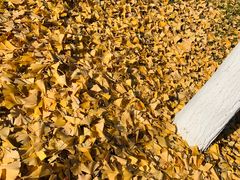 -中家鑫园温泉酒店鑫悦汤泉