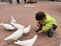 -王府井奥莱临潼小镇(临潼店)