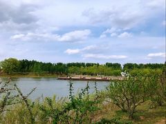 -东郊湿地公园