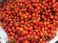 -迪庆藏族自治州博物馆