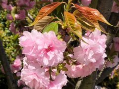 -南京市无想山景区