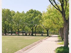 -新江湾城公园