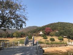 -龙寺生态园