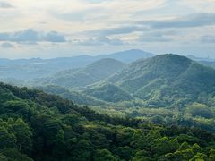 -黄埔油麻山森林公园