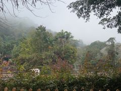 -野象谷景区