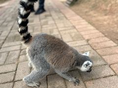 -乐和乐都主题乐园