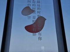 -上海环球金融中心骑迹50年环球之旅