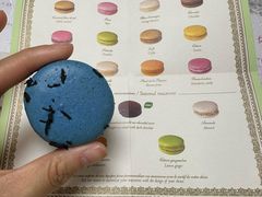 -ladurée(戴高乐机场T 2F店)