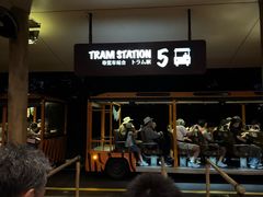 -夜间野生动物园