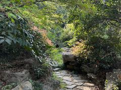 -桃花岛景观公园