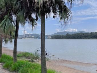 【潮连珍珠沙滩】江门连锁大全,点击查看全部1家分店-大众点评网