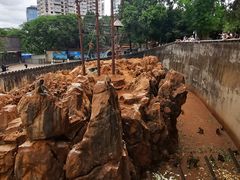-昆明动物园