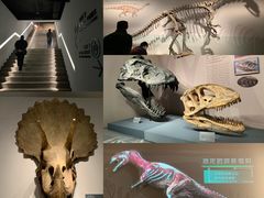 -自贡恐龙博物馆