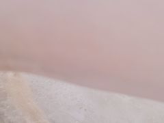 -颜氏双江清水鱼一养身火锅(磁器口店)