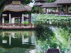 -茅家埠