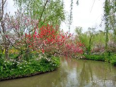 -南汇桃花村