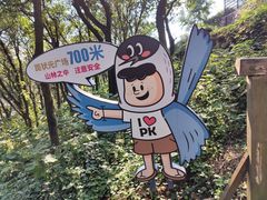 -南京老山国家森林公园