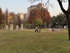 -四海公园(南山区)