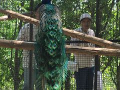 -石家庄市动物园