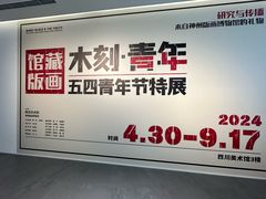 -四川美术馆