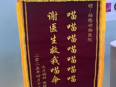 -福懋动物医院·犬猫全科·外科·重症科(杏林分院)