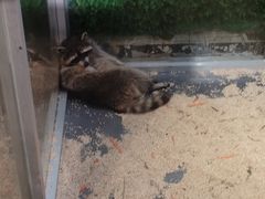 -常州海昌海洋探索馆