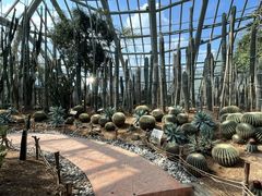 -禹州森林植物园