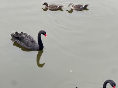-宴·天津·海鲜火锅(宾水西道店)