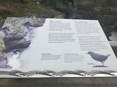 -阿萨巴斯卡瀑布观景点