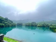 -龙坞茶村