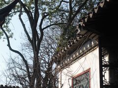 -留园