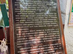 -西双版纳原始森林公园