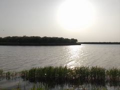 -天津东丽湖风景区