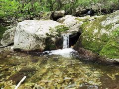 -王顺山国家森林公园