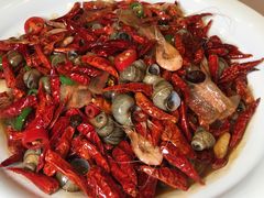 -子福慧(虹桥店)