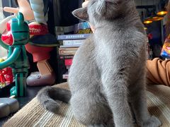 -IN COFFEE LAB 隐咖啡