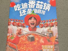 -海底捞火锅(泰安爱琴海店)