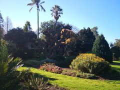 -墨尔本皇家植物园