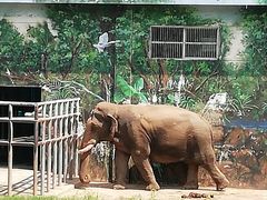 -西安秦岭野生动物园